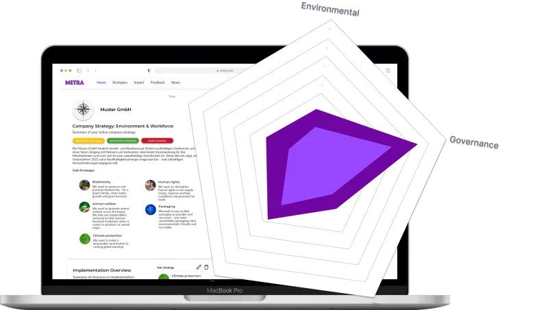 Laptop%2C%20der%20Metra%20und%20ein%20gro%DFes%0D%0A%20%20%20%20%20%20Radar%20Chart%20auf%20der%20rechten%20Seite%20zeigt